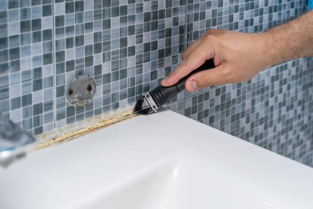Best Mold Testing  in Bradley Gardens, NJ
